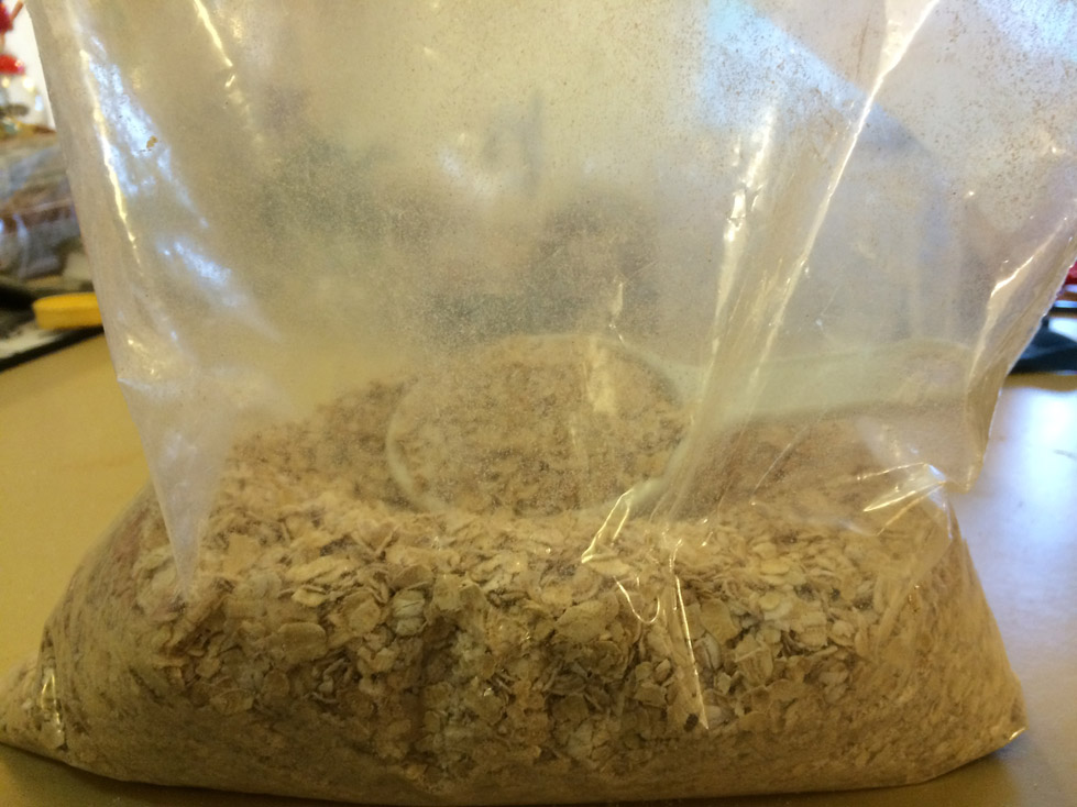 Simple Oatmeal Result 2